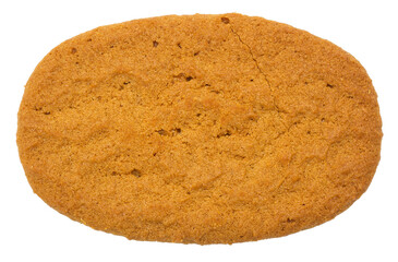 Ginger snap cookie isolated on white.
