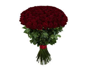 Red rose. large bouquet of 101 red rose on a transparent background in PNG format