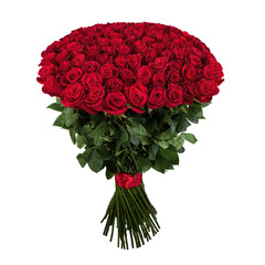 Red rose. Isolated large bouquet of 101 red rose on a transparent background in PNG format