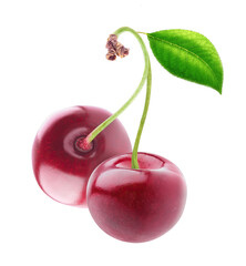 Two sweet cherries with curved stem cut out