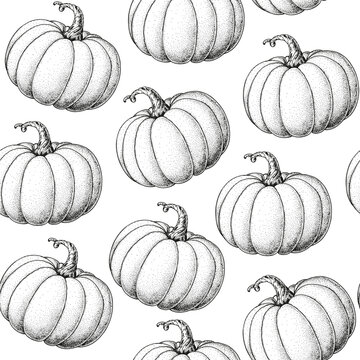 Pumpkin seamless pattern. Hand drawn background. Vector illustration. Hand drawing sketch illustration. Pumpkin vegetable hand drawn backdrop.