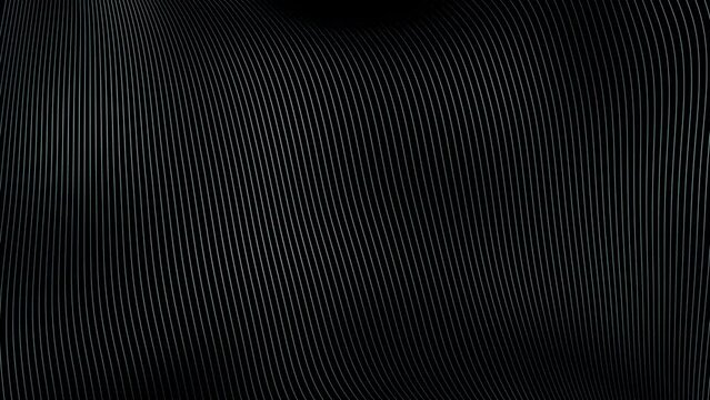 Curvy and wavy lines pattern looping animation on black background.