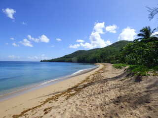 Deshaies Plage de Grande Anse Guadeloupe