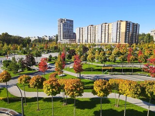 Obraz premium Autumn park with yellow orange trees. Autumn city streets, houses, skyscrapers in the city Dnipro, Dnepropetrovsk, Ukraine, aerial photography