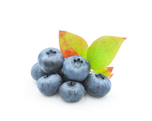 Ripe great blueberry with autumn colorful leaves isolated on white background