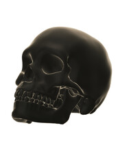 Obraz premium skull and crossbones