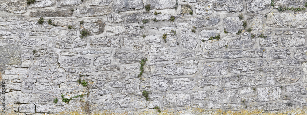 Wall mural beautiful rustic stone wall, overgrown, close-up.