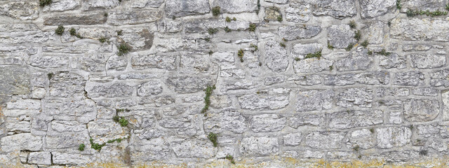 Beautiful rustic stone wall, overgrown, close-up.