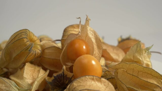  Cape gooseberry, physalis isolated on white background.