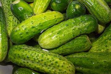 Canned cucumbers