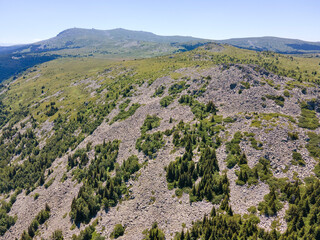Aerial view of Vitosha Mountain near Kamen Del Peak, Bulgaria