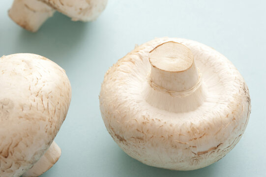 Two Fresh Raw Agaricus Bisporus Mushrooms