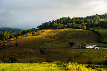 Fototapeta premium landscape in the mountains