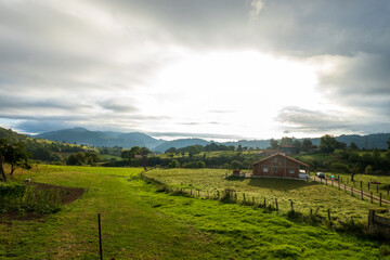 Obraz premium landscape with vineyard