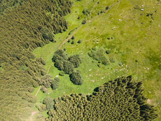 Aerial view of Vitosha Mountain near Kamen Del Peak, Bulgaria