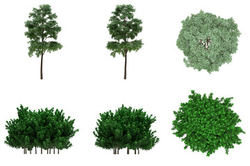 Pack of PNG vegetation. Flowering bushes. Made from 3D model for compositing