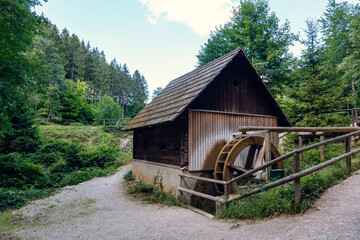 Trees, ruins and landscapes in Sparbach Nature Park an Austria's oldest nature park