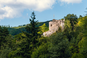 Naklejka premium Trees, ruins and landscapes in Sparbach Nature Park an Austria's oldest nature park