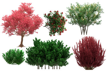 Pack of PNG vegetation. Flowering bushes. Made from 3D model for compositing