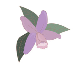 Flor nacional de Costarica