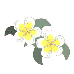 Nicaragua flor