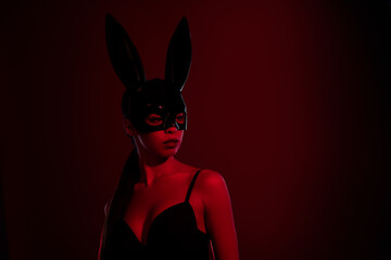 Photo of gorgeous lady stylish babe wearing rabbit costume looking copyspace isolated ruby color...