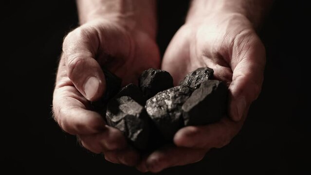 Coal in the hand of a miner. A miner shows the pieces and nuggets of coal in his hands.