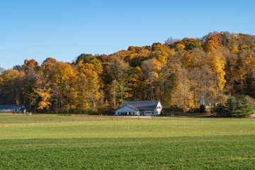 Amish shop near a field with a colorful autumn forest behind it in Holmes County, Ohio, USA