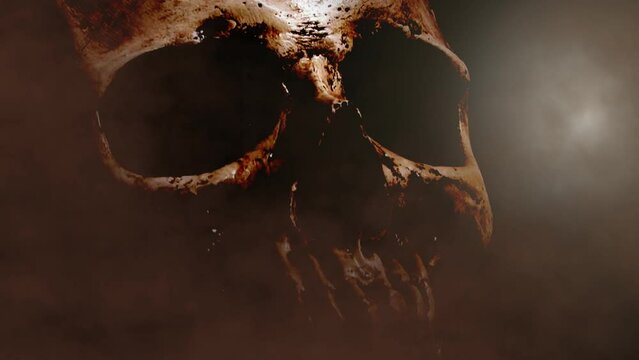  Zoom into scary human skull.