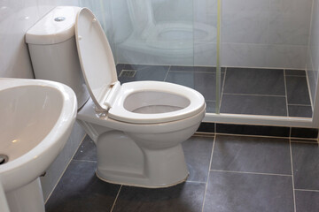 White toilet bowl on floor