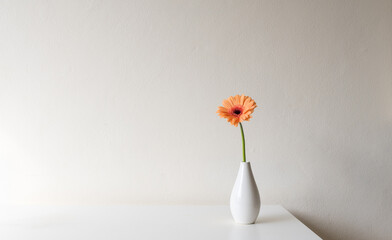 Single orange gerbera daisy in small white vase on table against neutral wall background with copy space - Powered by Adobe
