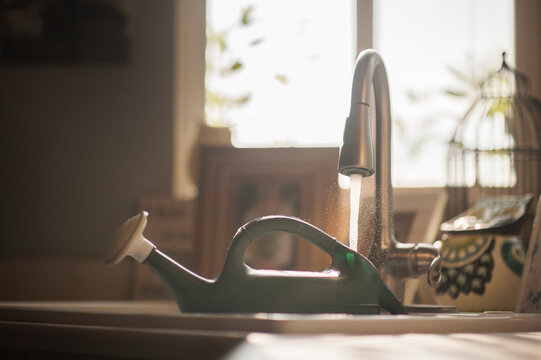 Watering Can By Faucet In Kitchen Sink