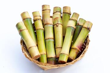 Sugar cane on white background.