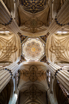 Directly below shot of Salamanca Cathedral