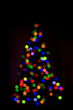 Defocused image of illuminated Christmas tree at night