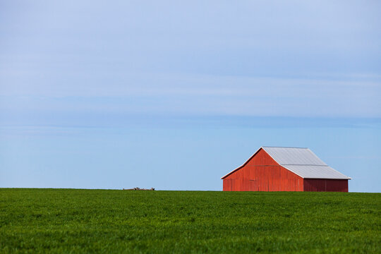 Barn on grassy field against sky during sunny day