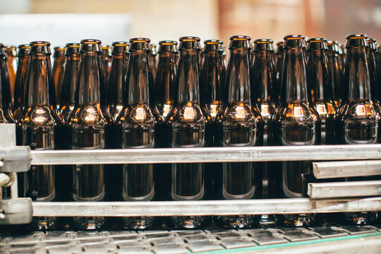 Beer bottles in row on machinery at brewery