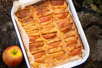 delicious baked apple pie on dark wooden background