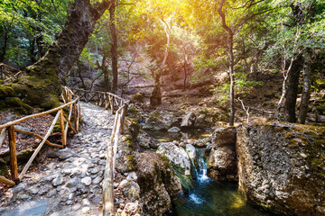 Wooden natural walking trekking path Butterflies Butterfly Valley Rhodes Greece. Butterfly valley...