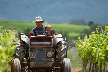 Father driving tractor with son while working at farm during sunny day