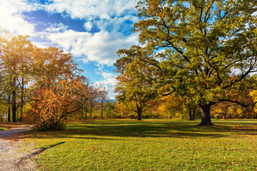 Golden autumn scene in a park, with falling leaves, the sun shining through the trees and blue sky. Colorful foliage in the park, falling leaves natural background