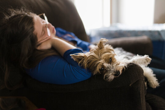 Woman with dog relaxing on armchair at home