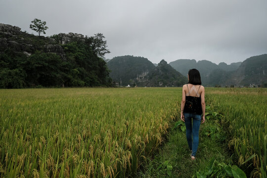 Rear view of woman walking amidst agricultural field