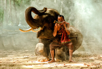 Full length of mahout blowing musical instrument while sitting on elephant's leg in forest