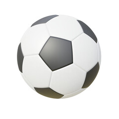 Professional soccer ball.