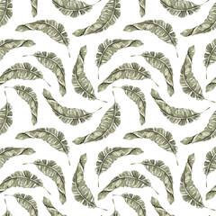 Obraz premium Watercolor modern exotic foliage botanical tropical banana leaves floral seamless pattern isolated on transparent background. Jungle nature illustration. Endless design for fabric, wallpaper, textile