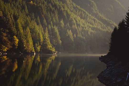Tranquil view of lake by trees during sunrise
