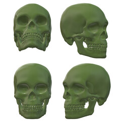 3d rendered illustration of human skull
