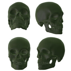 human skull isolated on black