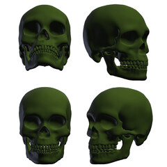 3d rendered illustration of human skull